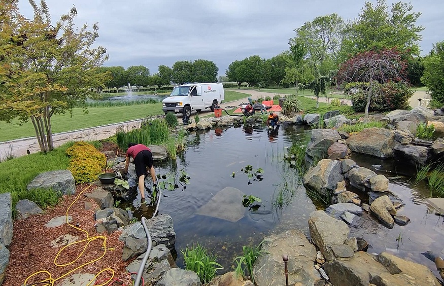 Pond Cleaning Services