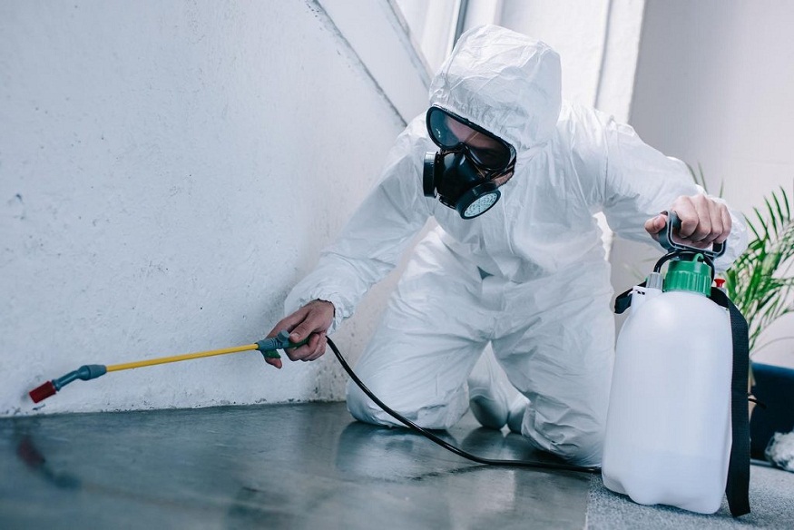 Renovations and Pest Control
